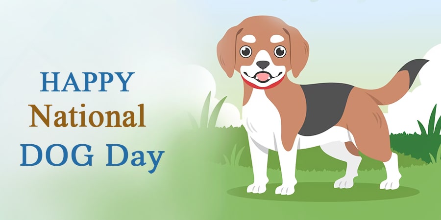 International Dog Day 2023: Date, History, and Significance of Dog Day